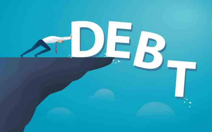 Debt